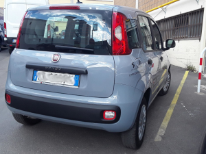 newcars-servizio-noleggio-panda